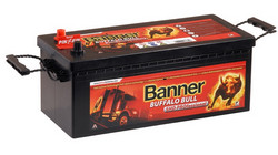 �������������� ������� Banner 145 �/�, 800 � | ������� 64503