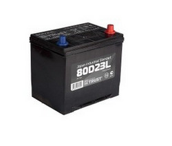 �������������� ������� Trust 70 �/�, 650 � | ������� 80D23L