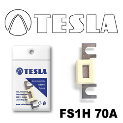 �������������� Tesla �������������� ��������� � ���������� 70� | ������� FS1H70A