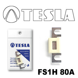 �������������� Tesla �������������� ��������� � ���������� 80� | ������� FS1H80A