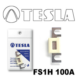 �������������� Tesla �������������� ��������� � ���������� 100� | ������� FS1H100A