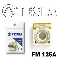�������������� Tesla �������������� ���������� FM  125A | ������� FM125A
