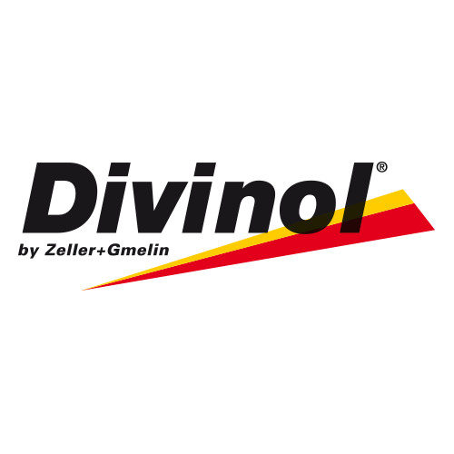 ������ �������� ����� Divinol Zweitaktoel G  | ������� 26670-C0